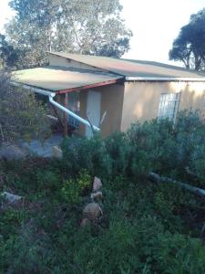a house with a lot of bushes in front of it at Valley Cottage in Kenton on Sea