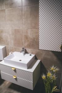 a bathroom with a white sink and a mirror at Palko Residence in Ocna-Mureşului