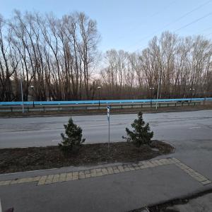 an empty street with two trees on the side of the road at Phorto Bella in Ustʼ-Kamenogorsk