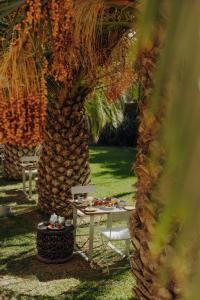 Zahrada ubytování Les Jardins de Kesali By La Siredrah