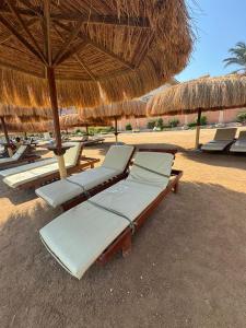 a group of lounge chairs and an umbrella on a beach at Tiba Golden beach resort hurghada down town in Hurghada