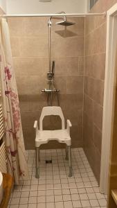 a bathroom with a shower with a white sink at Ferienwohnung Garten Eben in Rullstorf