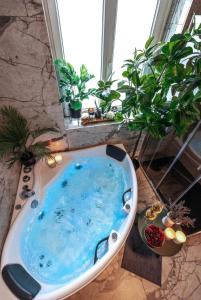 Fotografie z fotogalerie ubytování Prestige Lumineux Jacuzzi Parking privé v destinaci Mulhouse