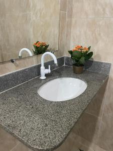 a bathroom counter with a sink with two plants at Hope Hostel Praia do Morro in Guarapari +116 photos