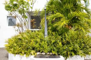 Giardino di Palm Crest
