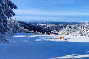 ENJOYHARRACHOV Atraktivní klidné studio 3 v centru Harrachova s parkováním, velkou terasou, Wifi-WLAN, SAT zdarma, možností dobíjení auta, výhledem do zahrady a na romantický kostelík v zimě