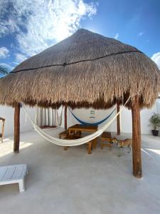 Fotografie z fotogalerie ubytování Casa Loto B v destinaci Chelem