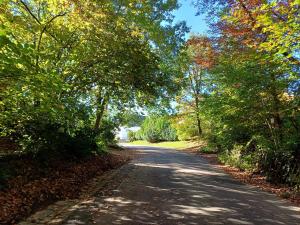 a road with trees on the sides of it at Ferienwohnung Seitert in Merzig