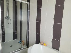 a bathroom with a shower and a toilet at Maison avec grange, jeux et enquête in Petit Bailly +36 photos