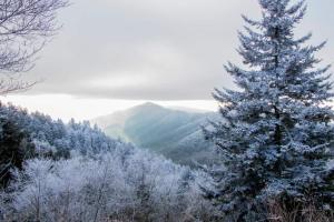 Foto sihtkohas Pigeon Forge asuva majutusasutuse Dog Friendly, Pool, Hot Tub, Pool Table, Arcade galeriist