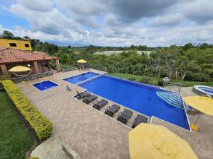 an overhead view of a swimming pool with chairs and umbrellas at Hotel Campestre Los Mangos in Quimbaya