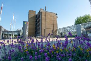 un giardino di fiori viola di fronte a un edificio di Idrættens Hus Hotel og Konference a Brøndbyvester