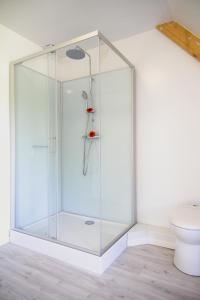 W łazience znajduje się przeszklony prysznic i toaleta. w obiekcie La Casanyères BnB - Campagne Normande - 5min Mer - Cabine de Plage w mieście Touffreville-sur-Eu +18 zdjęć