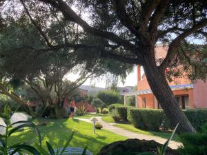 a person walking through a yard with a tree at Cala Rosa Club Hotel in Stintino