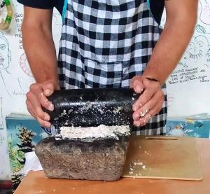 Gambar di galeri bagi Siesta di Tangalle
