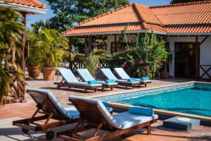 Πισίνα στο ή κοντά στο Bloublou Apartments Curaçao