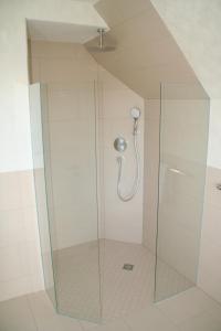 a shower with a glass door in a bathroom at Gersbach-1922 in Schopfheim