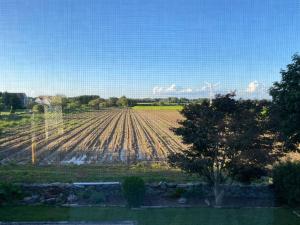 a large field of crops with a tree in the foreground at Large King Suite Completely Private Space Stay close enough to Newport without the Noise in Portsmouth