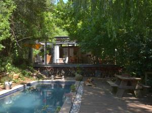 una piscina con una mesa de picnic y un perro junto a ella en Glasshouse In The Winelands en Stellenbosch