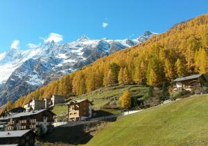 a village on a hill with mountains in the background at Apartments Albana in Saas-Fee
