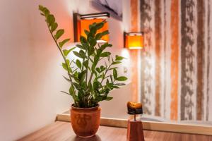 eine Pflanze in einer Vase auf einem Tisch neben einer Lampe in der Unterkunft All In Apartman in Budapest