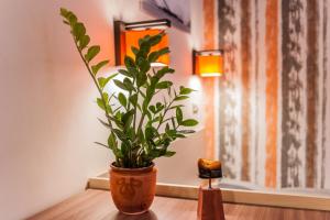 Fotografia z galérie ubytovania All In Apartman v Budapešti