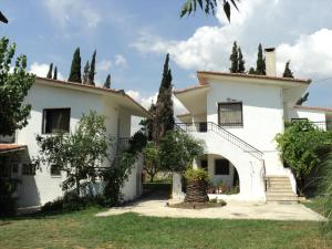a large white house with trees in the yard at Marietta's Apartments in Agios Andreas