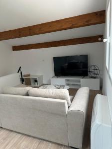 Μια τηλεόραση ή/και κέντρο ψυχαγωγίας στο Appartement Chaleureux Sollies
