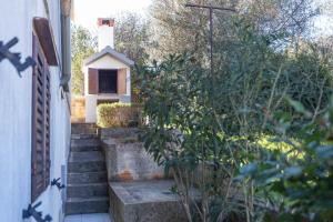 Vonkajšia záhrada v ubytovaní House Milka