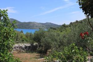 a view of a lake from a field with trees at House Nature park in Sali