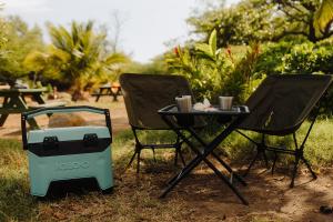 Budget Hack Maui SUV camping外面的花园