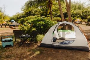 Zahrada ubytování Budget Hack Maui SUV camping