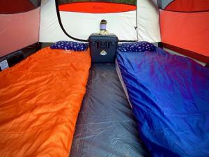 卡胡卢伊Budget Hack Maui SUV camping的帐篷内有两张床