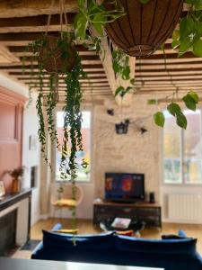 una stanza con un tavolo con piante appese al soffitto di Les Jardins de La Cité 60m2 et parking gratuit a Digione