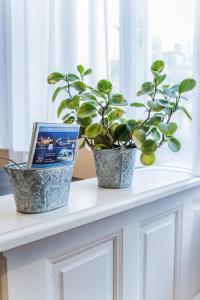 two potted plants sitting on a counter with a window at All In Apartman in Budapest
