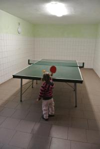 Stolní tenis v ubytování Pension Jitka nebo okolí