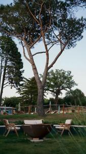 Fotografie z fotogalerie ubytování Podere Scoldasu - Nettuno v destinaci Massa Marittima