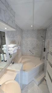 Ένα μπάνιο στο Logis Hôtel & Restaurant Arcombelle