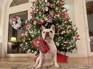 Fotografie z fotogalerie ubytování Villa la Moresca Relais de Charme B&B MONTECATINI ALTO v destinaci Montecatini Terme