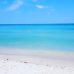 a group of people swimming in the water on a beach at Miami Hollywood Great 2 Bedroom with Garden View 001-22bmar in Hollywood