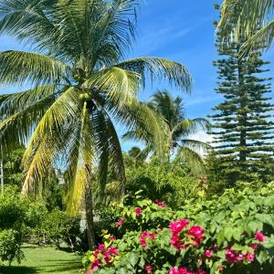 Zahrada ubytování Les Jardins de Joyce