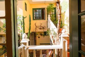 Fotografie z fotogalerie ubytování Hostel Tenerife v destinaci La Orotava