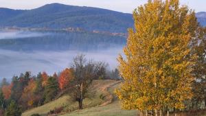 Paesaggio naturale nelle vicinanze of country house