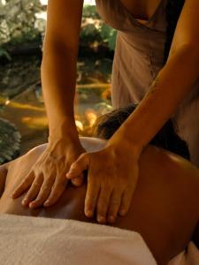 Lázně a/nebo wellness v ubytování Pousada Erva Doce