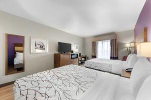 Postel nebo postele na pokoji v ubytování Best Western Plus Buda Austin Inn & Suites