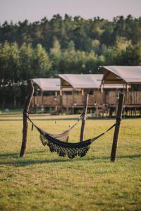 LiwaLiva Park Glamp的相册照片