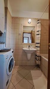 a bathroom with a washing machine and a sink at La Siesta Penthouse Apartment in Budapest +31 photos