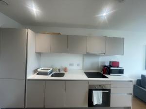 ブラックネルにあるBracknell RWH Stunning Two Bedroom Apartmentの白いキャビネット、シンク、冷蔵庫付きのキッチンが備わります。 +7枚の写真