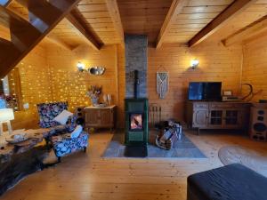 a living room with a fireplace in a wooden house at Chatka Beskidzka in Targanice