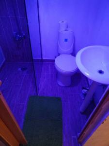 a bathroom with a toilet and a sink at Acogedor apartamento entero in Mandinga